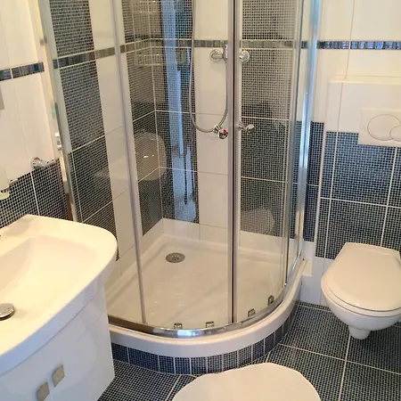 Apartment Vojta *